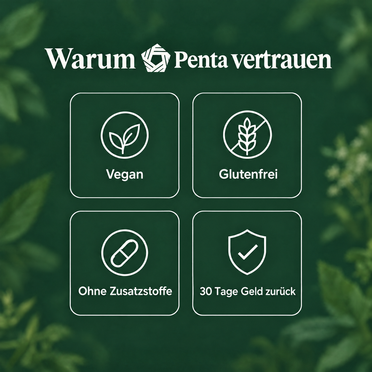 PENTA Magen-Komplex Kapseln