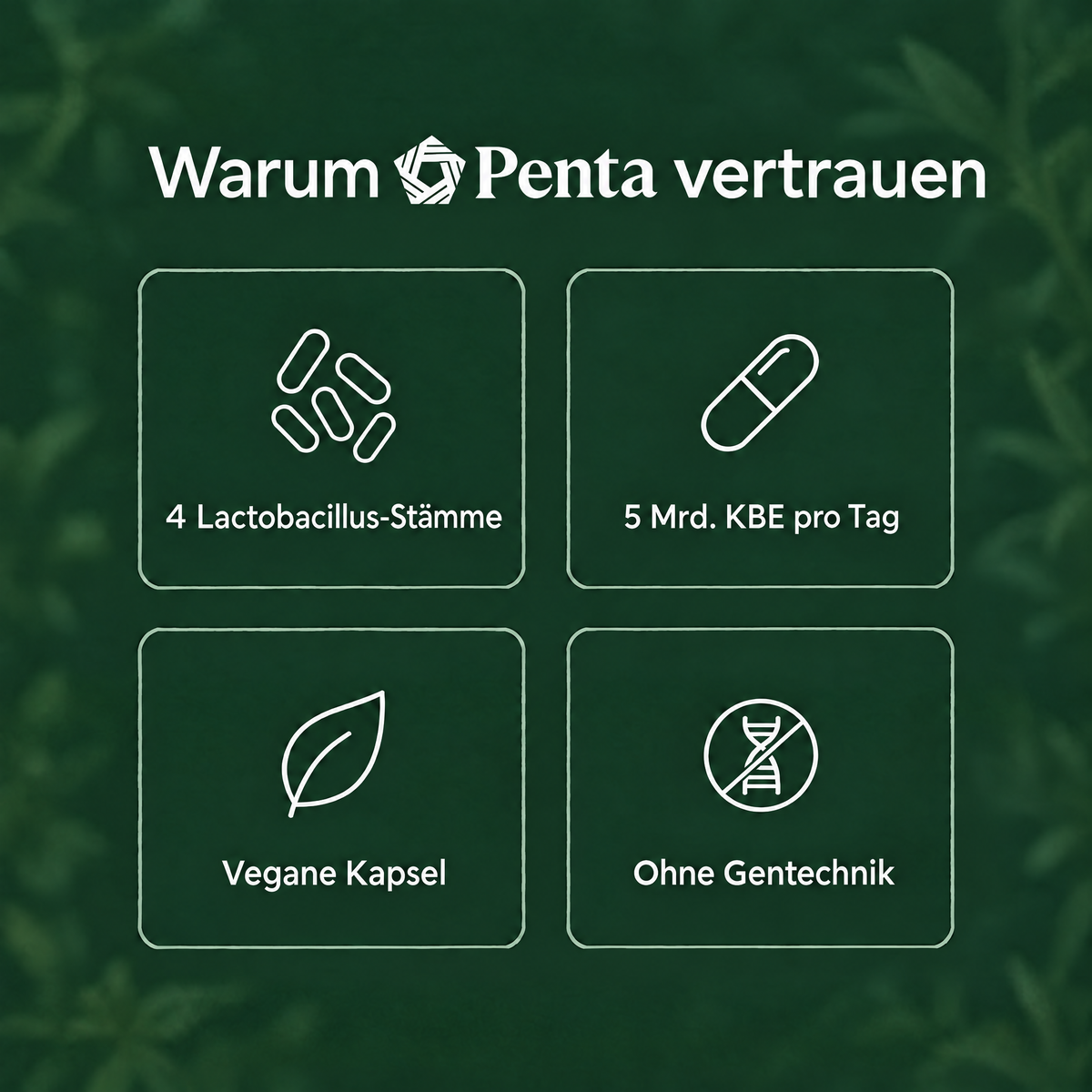 PENTA Vaginal-Probiotikum Kapseln